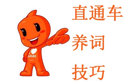 直通車養(yǎng)詞方法及技巧分享
