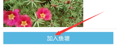 閑魚發(fā)布怎么選擇魚塘