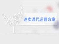 速賣通代運(yùn)營(yíng)方案