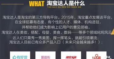 淘寶達(dá)人大v