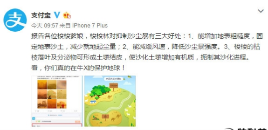 支付寶種樹有什么用