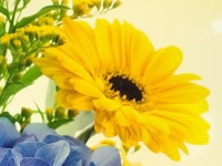 淘寶聯(lián)盟自己買有錢嗎?教你如何利用淘寶聯(lián)盟賺錢