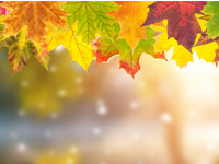 淘寶客代理怎么做?有何注意事項?