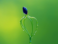 淘寶客成交計(jì)入權(quán)重嗎?成交記錄對權(quán)重的影響是怎樣的?