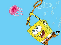 淘寶聯(lián)盟成交預估收入是什么?