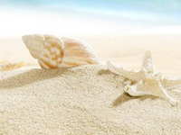 輕淘客是什么?輕淘客怎么用?