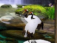 淘寶采集軟件多少錢(qián)?淘寶采集軟件采集的數(shù)據(jù)有何用?