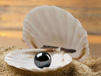 　淘寶免單是什么意思?淘寶免單如何免單的?