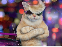 天貓店鋪運營工作流程是怎樣的?