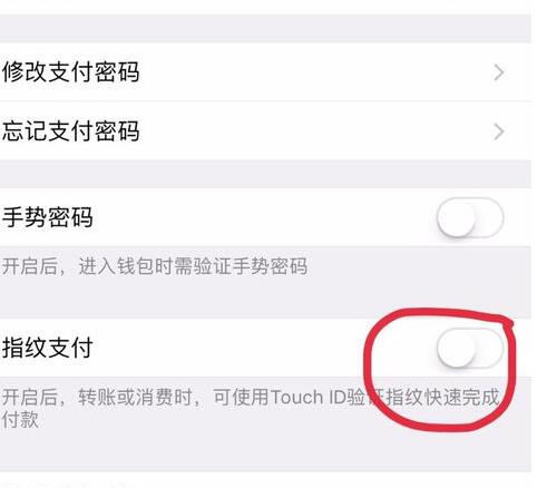 微信設(shè)置沒有指紋支付4.jpg