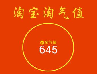 淘氣值的購物分一期是幾個月的