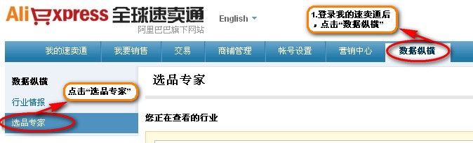 速賣通關(guān)鍵詞分析