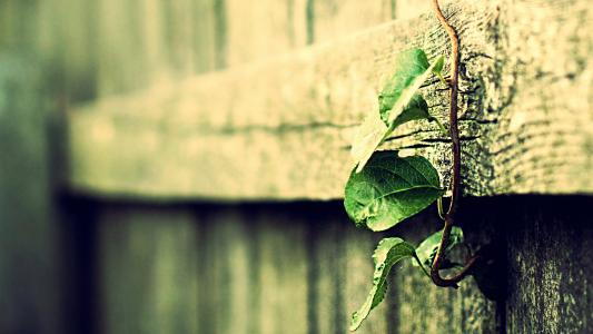 天貓《“一鍵求助”服務(wù)規(guī)范》