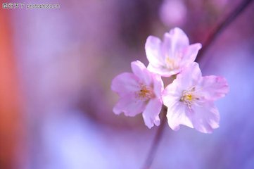 淘寶補單物流未簽收可以收貨嗎