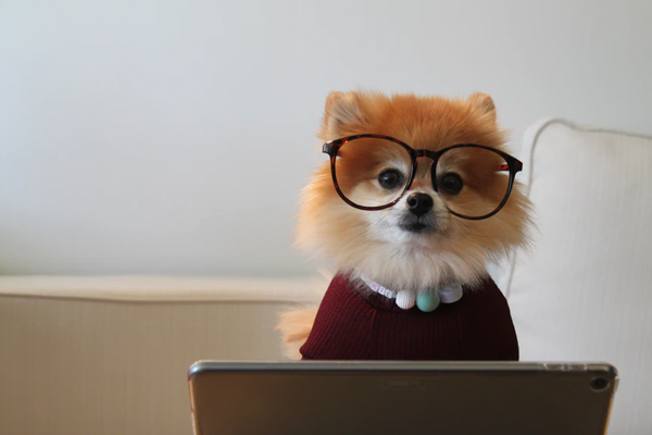 快手商家入駐需要什么材料