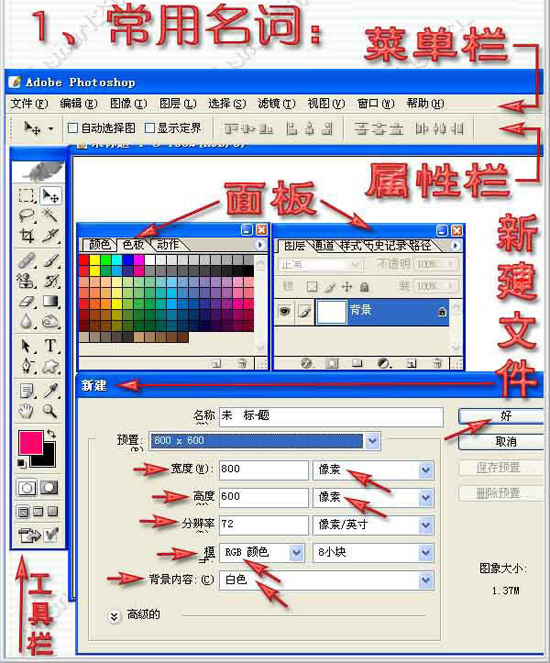 ps入門教程工具的使用1